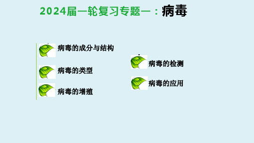 【高中生物】2024届高三一轮复习生物：病毒课件