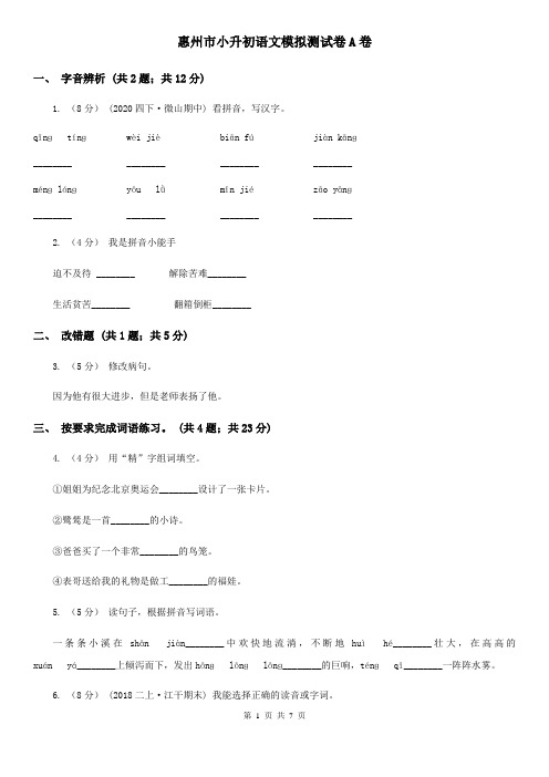 惠州市小升初语文模拟测试卷A卷
