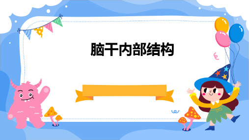 脑干内部结构：脑神经、非脑神经核团