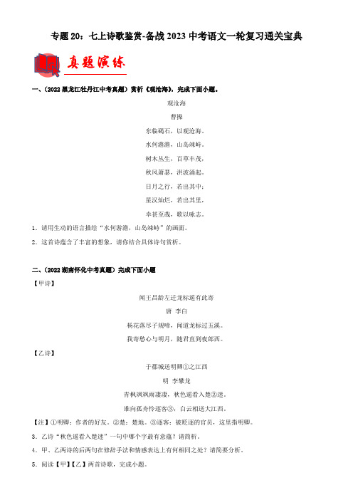 专题20：七上诗歌鉴赏【专题检测】-备战2023中考语文一轮复习通关宝典(解析版)