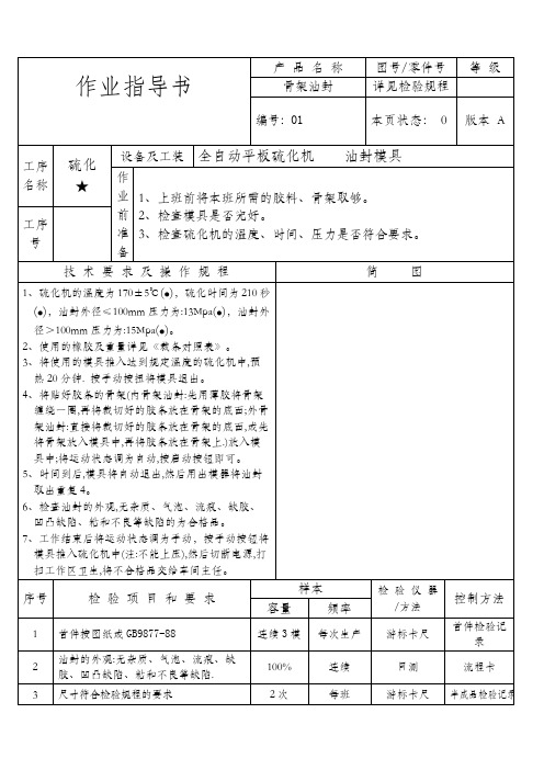 硫化作业指导书