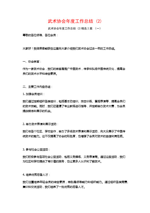 武术协会年度工作总结2篇