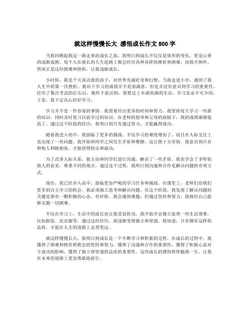 就这样慢慢长大 感悟成长作文800字