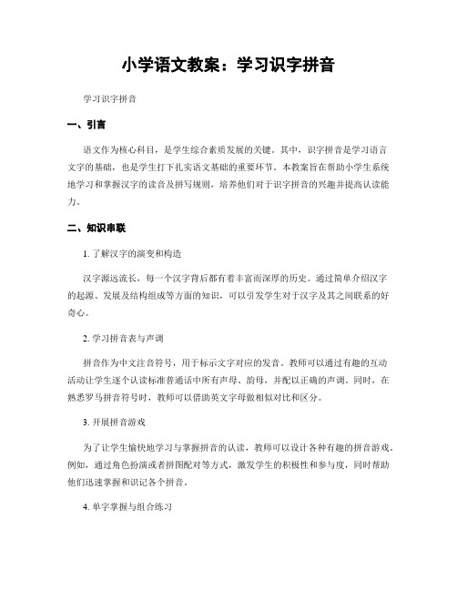 小学语文教案：学习识字拼音 (2)