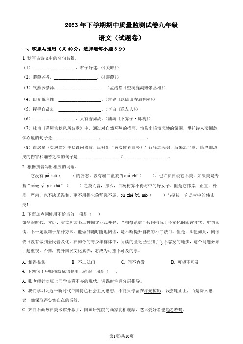 人教版2022-2023九年级下学期期中语文试题(原卷版)