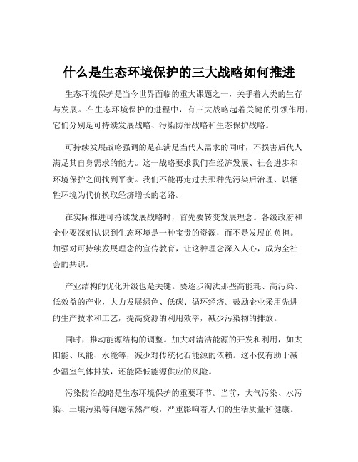 什么是生态环境保护的三大战略如何推进