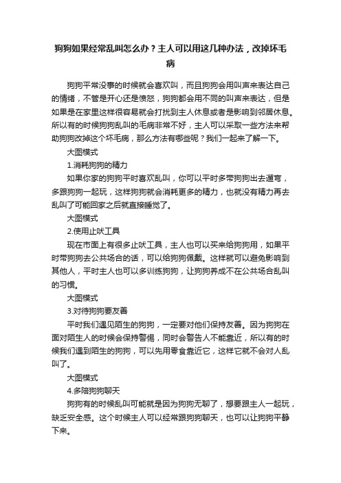 狗狗如果经常乱叫怎么办？主人可以用这几种办法，改掉坏毛病