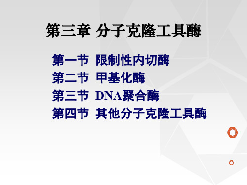 第三章分子克隆工具酶-13级