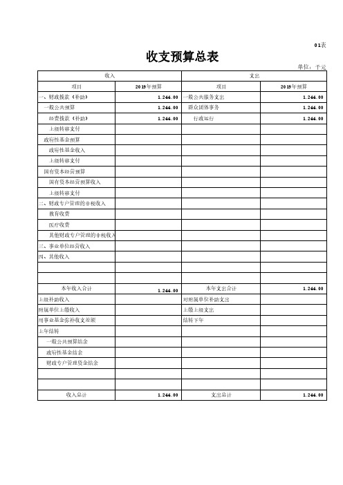 收支预算总表