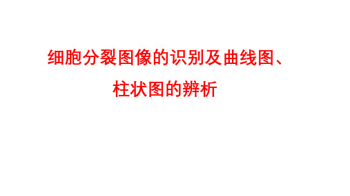 高三生物-细胞分裂图像的识别及曲线图、柱状图的辨析专题