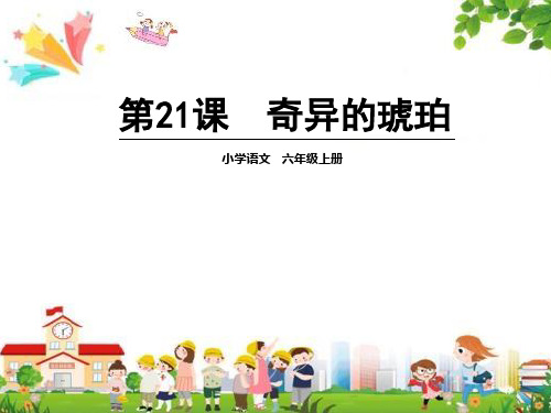 小学六年级语文上册课件：(21)奇异的琥珀