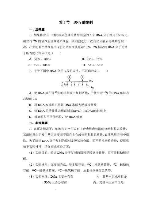 人教版高中生物必修二拓展训练：DNA的复制