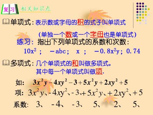 同类项(修改后)