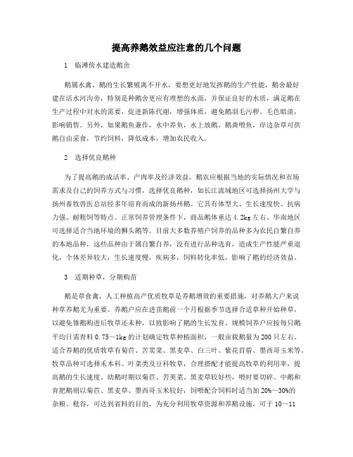 提高养鹅效益应注意的几个问题