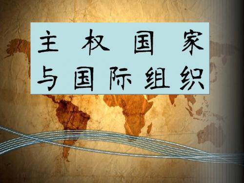 主权国家和国际组织 演示文稿