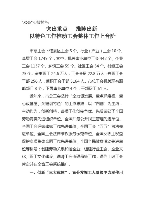 双亮汇报材料