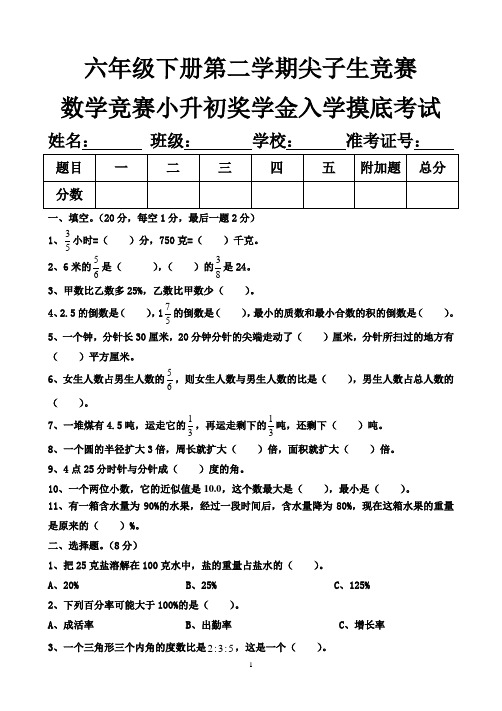 六年级下册第二学期尖子生竞赛 数学竞赛小升初奖学金入学摸底考试