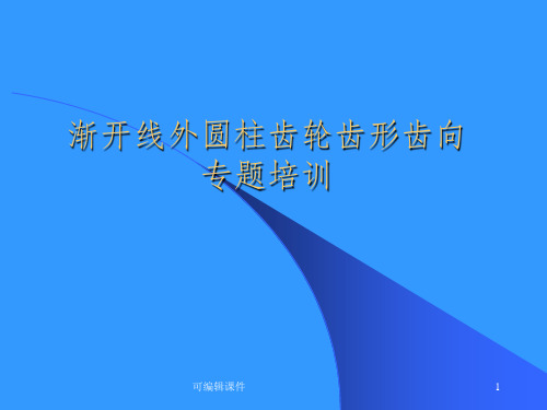 齿轮的齿形齿向介绍PPT课件