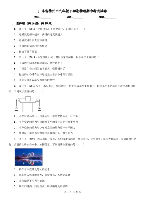 广东省梅州市九年级下学期物理期中考试试卷