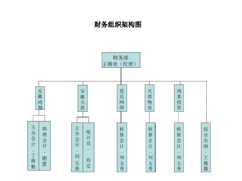 财务中心组织架构图PPT课件