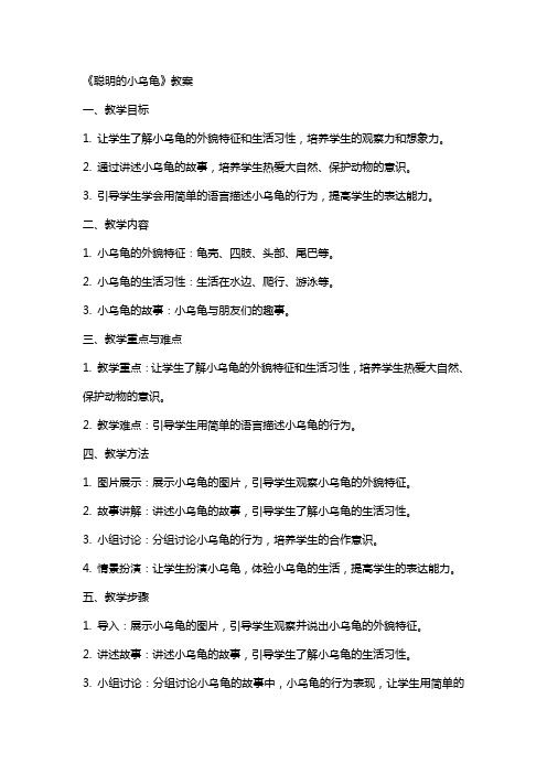 《聪明的小乌龟》教案