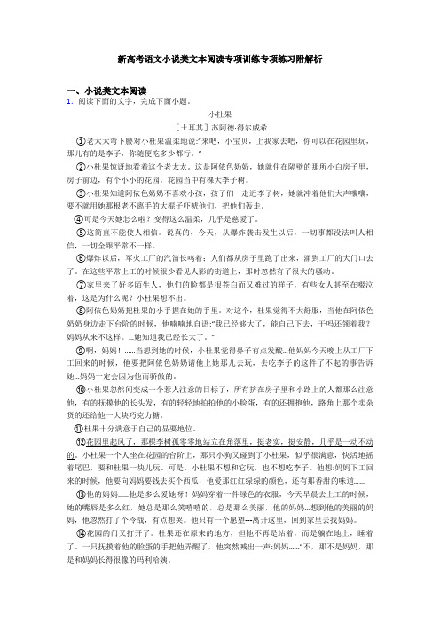 新高考语文小说类文本阅读专项训练专项练习附解析