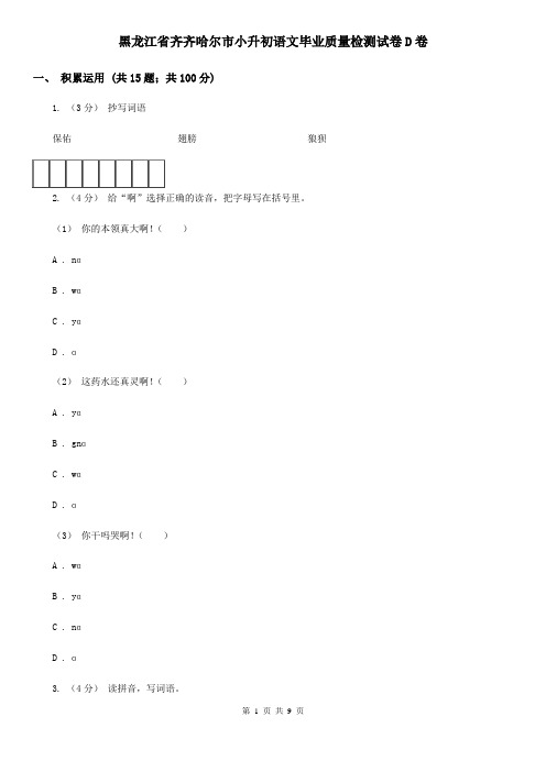 黑龙江省齐齐哈尔市小升初语文毕业质量检测试卷D卷