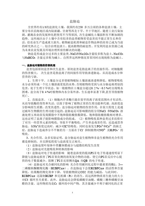 高级植物生理学04盐胁迫及其它