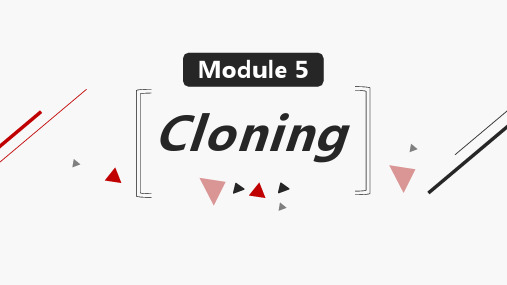 Module5 Cloning Reading-Frankenstein课件 高中英语外研版选修六