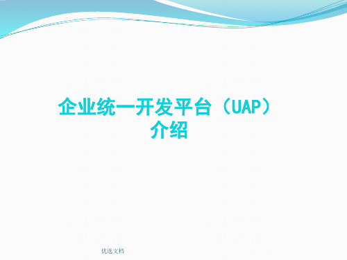 演示文档企业级统一开发平台解决方案.ppt