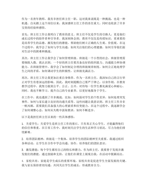 青年教师班主任工作感想