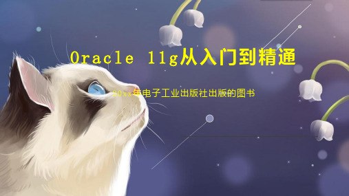 Oracle 11g从入门到精通