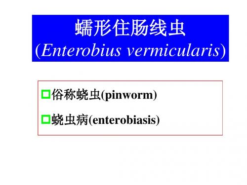 2010 蛲虫、旋毛虫、广州管圆线虫及丝虫