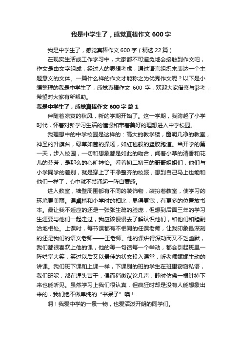 我是中学生了，感觉真棒作文600字（精选22篇）