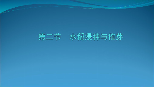 水稻浸种与催芽PPT课件