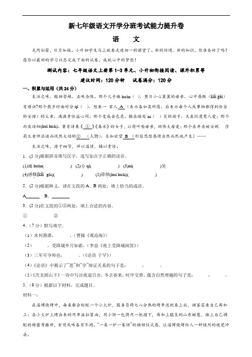 新七年级语文开学分班考试能力提升-2023年小初衔接语文试卷(附解析)