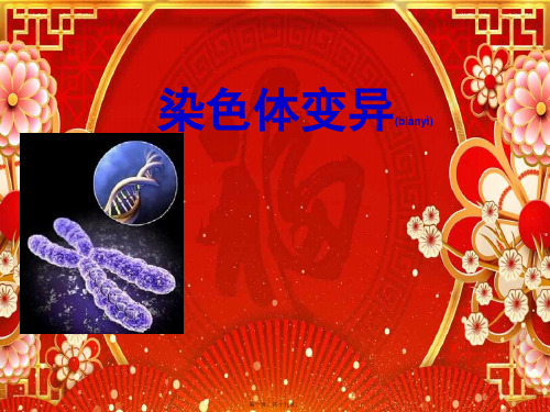 高中生物染色体变异说课课件高一生物课件