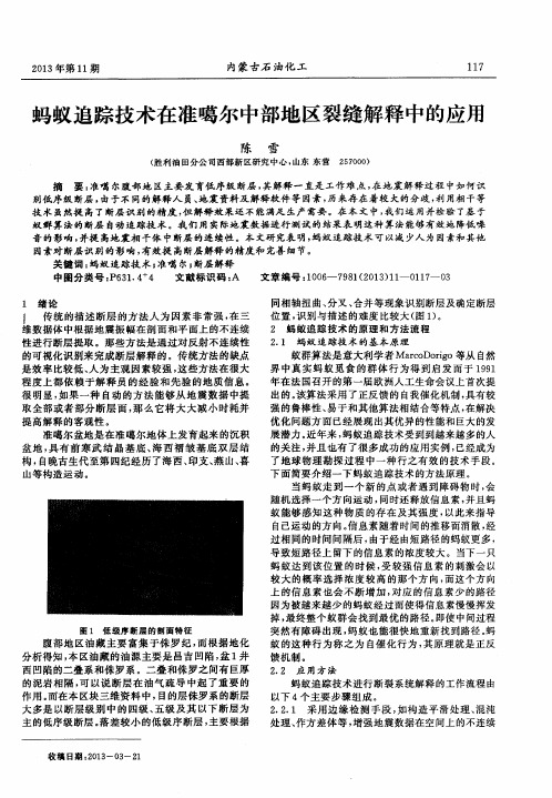 蚂蚁追踪技术在准噶尔中部地区裂缝解释中的应用