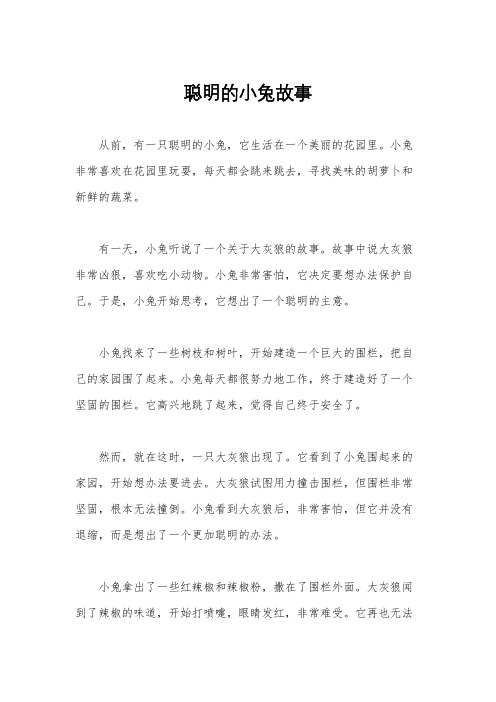 聪明的小兔故事