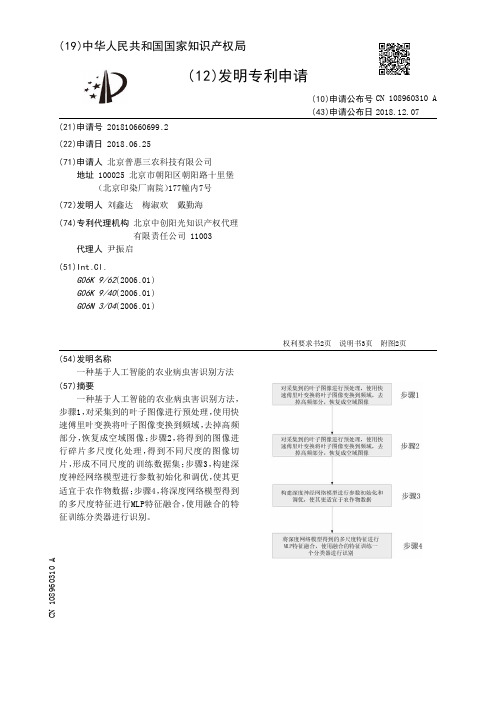 一种基于人工智能的农业病虫害识别方法[发明专利]