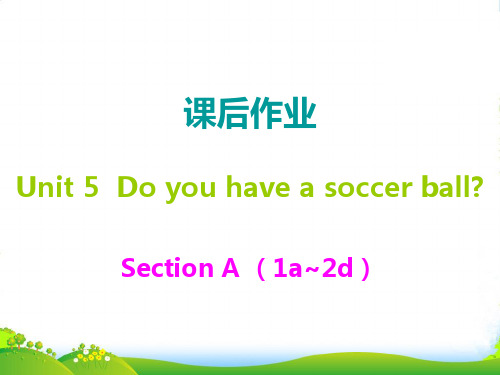 人教版七年级英语上册课后作业课件：Unit5 Do you have a soccer ball