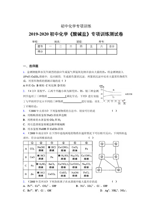 (中考)《酸碱盐》专项训练模拟测试(含答案)  (470)