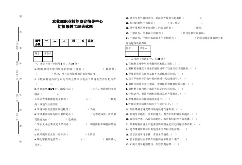 初级C