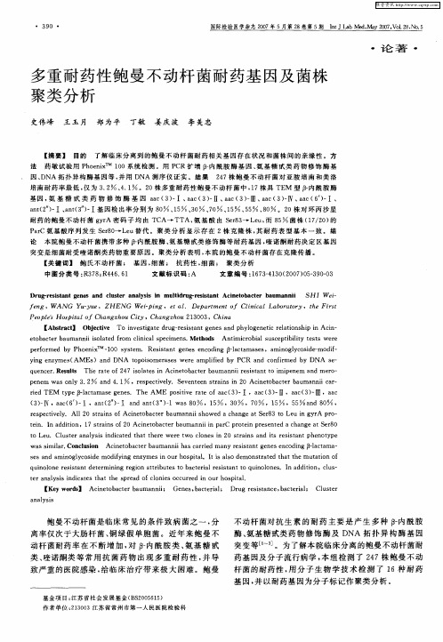 多重耐药性鲍曼不动杆菌耐药基因及菌株聚类分析