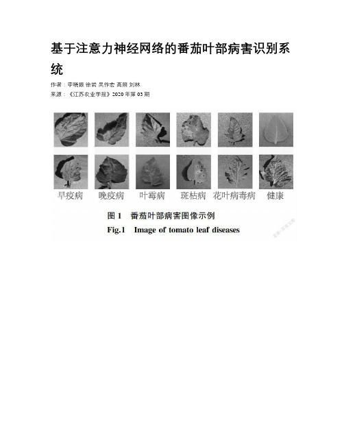 基于注意力神经网络的番茄叶部病害识别系统