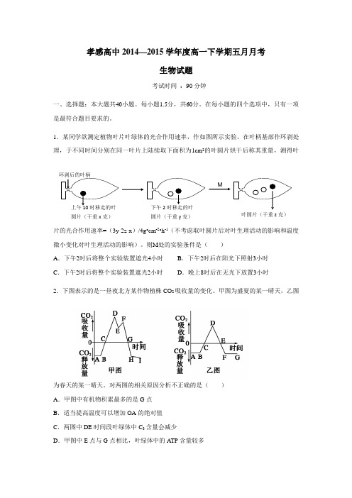 4—15学年高一5月生物试题(附答案)