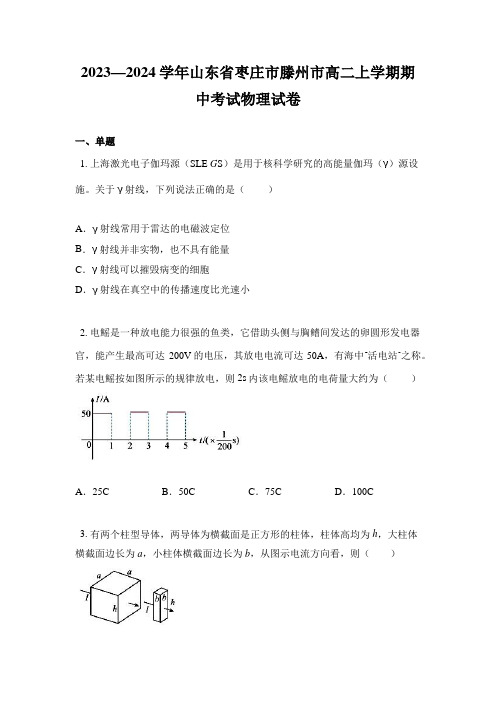 2023—2024学年山东省枣庄市滕州市高二上学期期中考试物理试卷