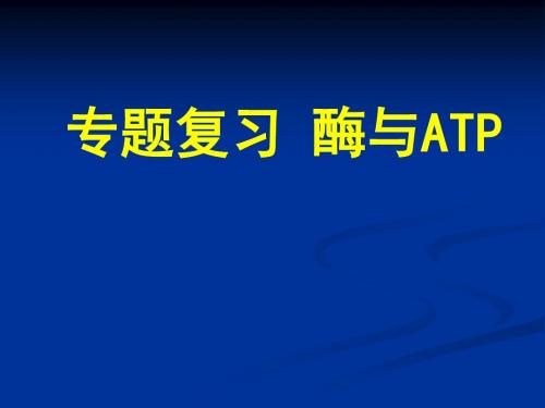 2019年生物高考研讨会二轮专题《酶与ATP》课件 (共18张PPT)