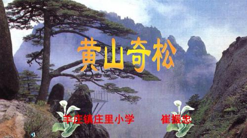 16.黄山奇松  第一课时