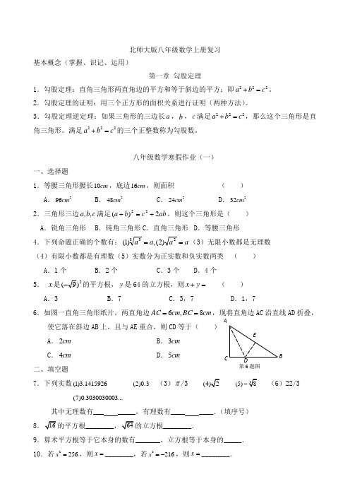 北师大版八年级上册寒假作业